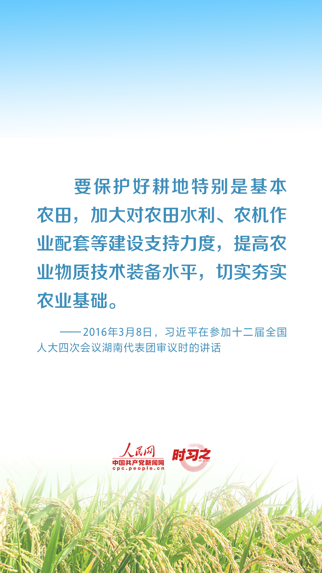 全方位夯实粮食安全根基 习近平强调切实加强耕地保护